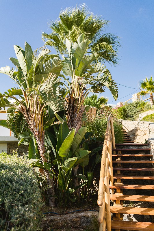 weddings-mykonos-m-t-01